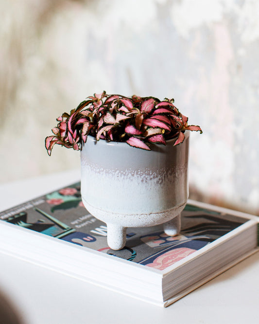 Mini pot Mojave - Gris