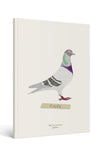 Carnet Oiseau