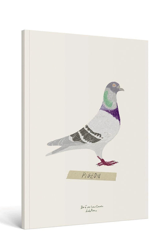 Carnet Oiseau