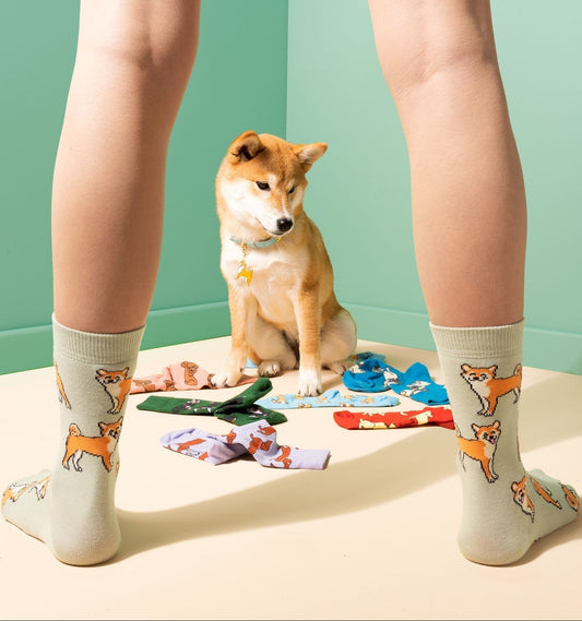 Chaussettes Shiba
