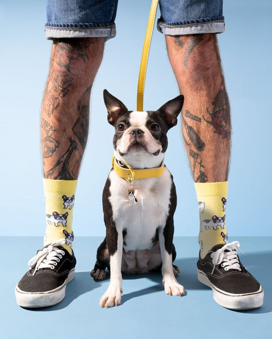 Chaussettes Bouledogue