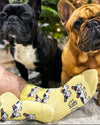 Chaussettes Bouledogue