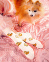 Chaussettes Spitz