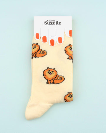 Chaussettes Spitz