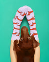 Chaussettes Teckel