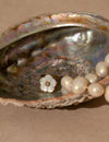 Bague Florens - Nacre Blanche