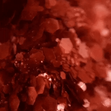 Paillettes Gravé Dans la Brique