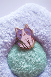 Pin's Magic Cat