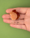 Mini pince à cheveux Écureuil