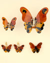 Pince à cheveux Papillon de nuit