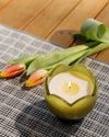 Bougie Tulip - Verbena & Lemongrass