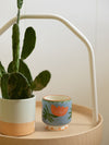 Bougie A Dopo - Cactus flower
