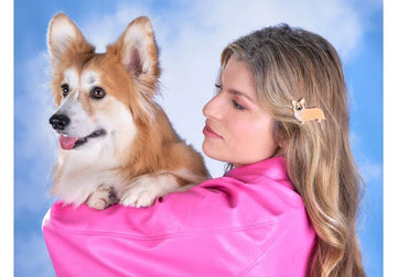 Barrette Corgi