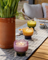 Bougie Tulip - Garden & Grove