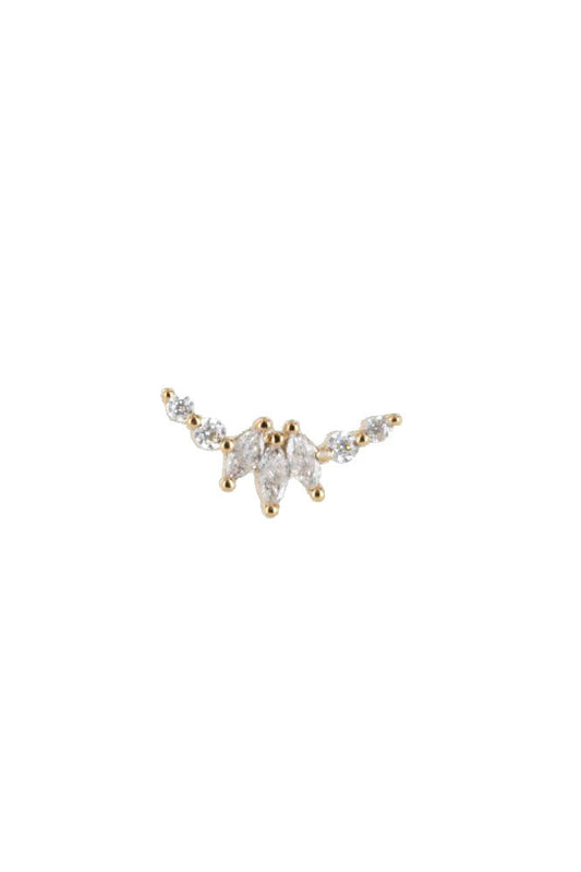 Puce d'oreille Canillo blanc