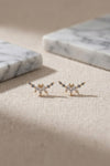 Puce d'oreille Canillo blanc