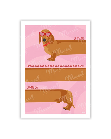 Carte Postale Amour Teckel
