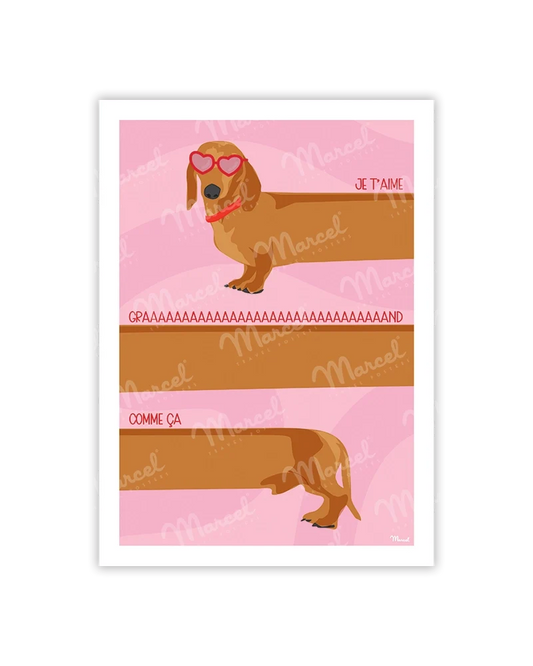 Carte Postale Amour Teckel