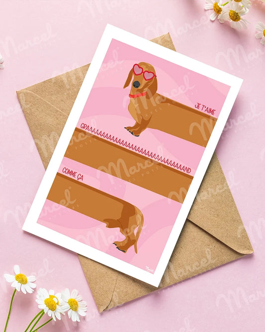Carte Postale Amour Teckel