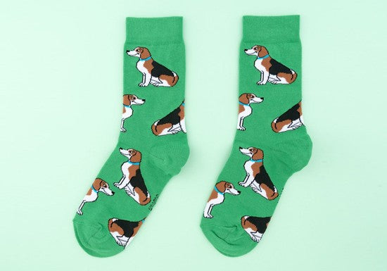 Chaussettes Beagle