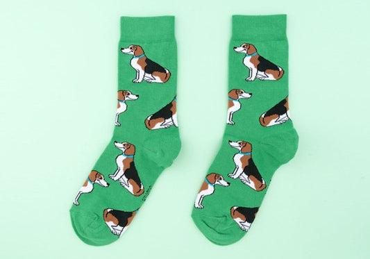 Chaussettes Beagle