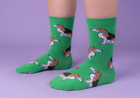 Chaussettes Beagle