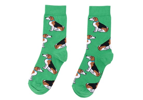 Chaussettes Beagle