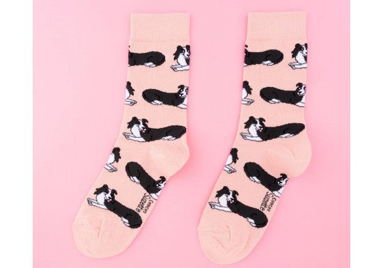 Chaussettes Border Collie
