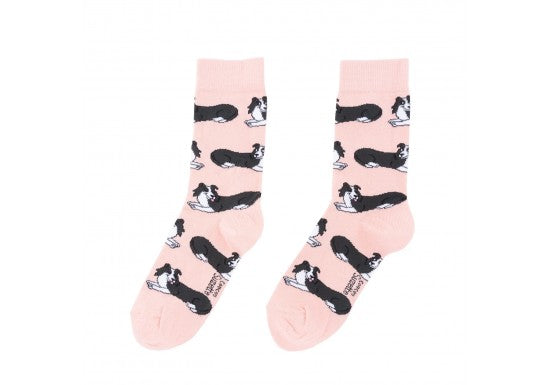 Chaussettes Border Collie