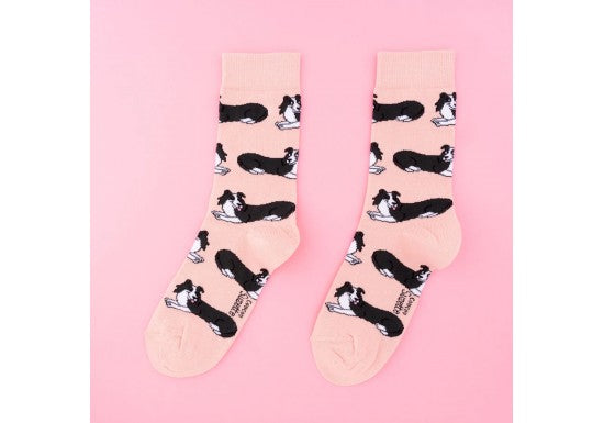 Chaussettes Border Collie