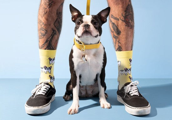Chaussettes Bouledogue