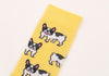 Chaussettes Bouledogue
