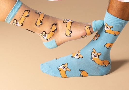Chaussettes Corgi