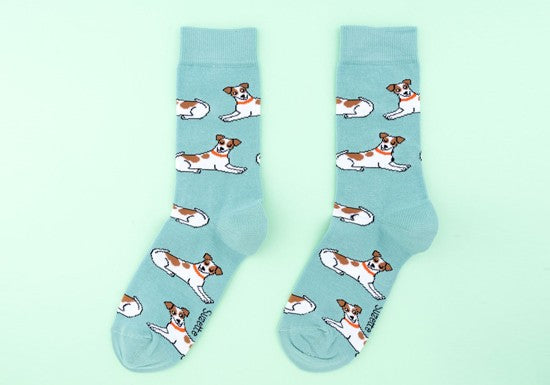 Chaussettes  Jack Russel