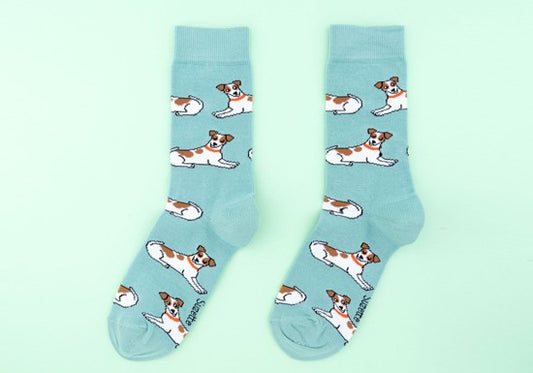 Chaussettes  Jack Russel