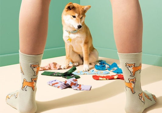 Chaussettes Shiba