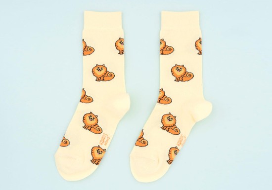 Chaussettes Spitz