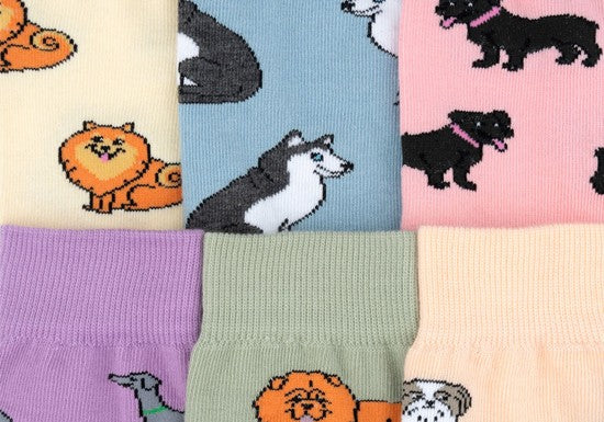 Chaussettes Spitz