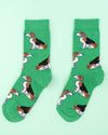 Chaussettes Beagle