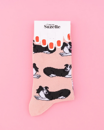 Chaussettes Border Collie