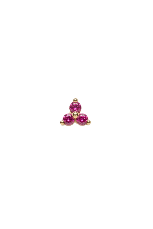 Puce d'oreille Gawler