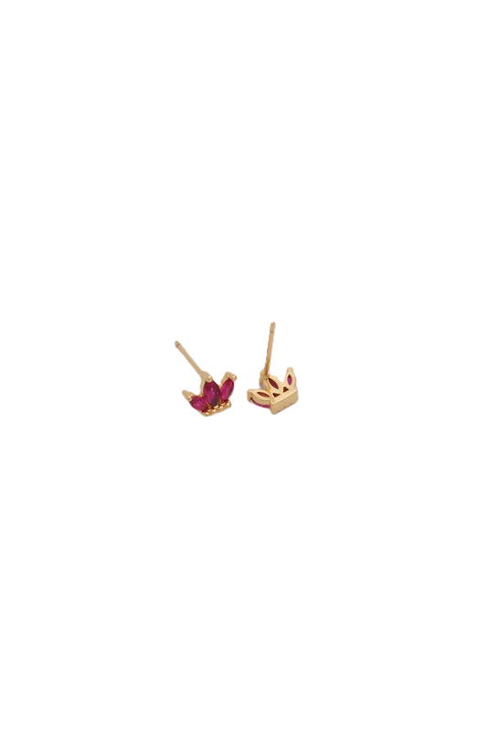 Puce d'oreille Namur rose