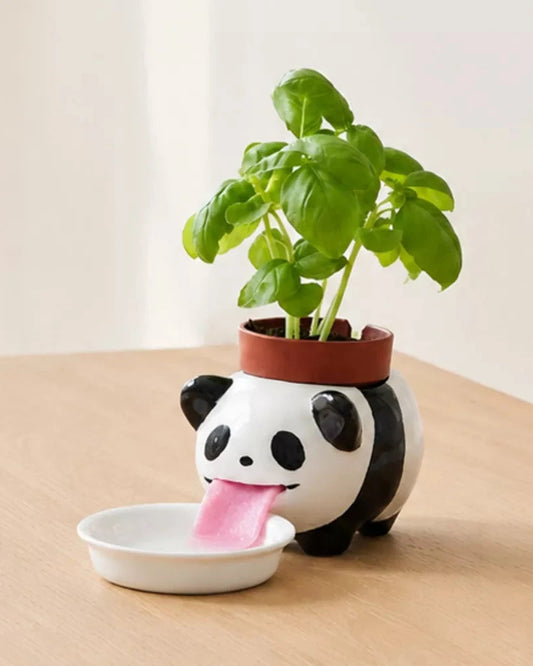 Peropon Panda - basilic
