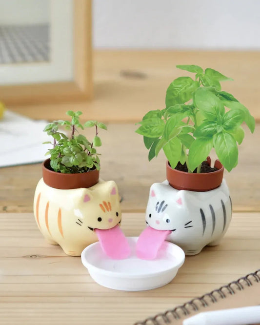 Peropon Tabby Cat