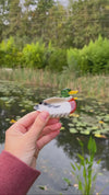 Pince à cheveux Canard