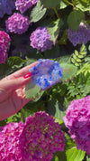 Pince à cheveux XL Hortensia
