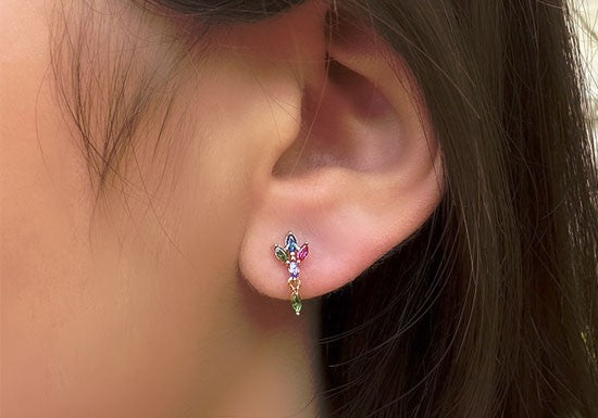 Puce d'oreille Verona multi