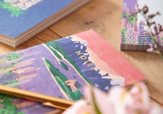 Set de 2 carnets - Lupin