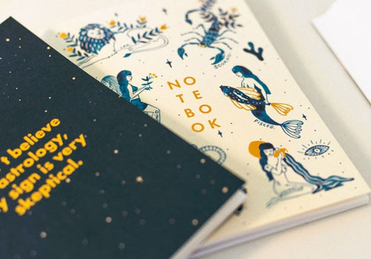 Set de 2 carnets - Skeptical