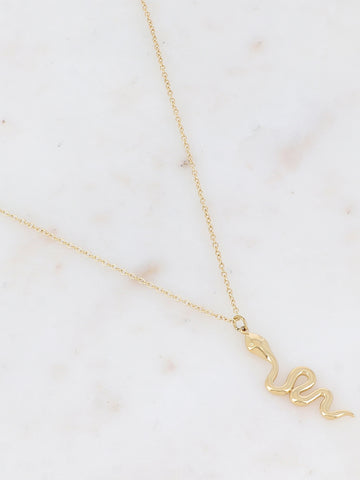 Collier Snake